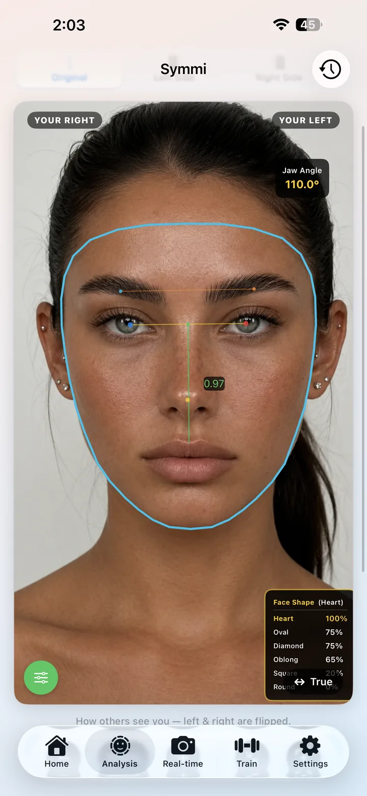 You Have Never Seen Your Own Face